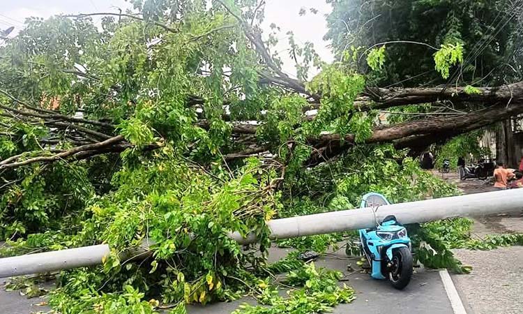 Kondisi tiang listrik dan pohon yang tumbang, lalu menimpa motor listrik yang Melintas.