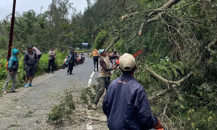 Jalur Bromo yang sempat tertutup longsor dan ranting pohon tumbang di Wonokerto, Sukapura, Probolinggo (3/2).