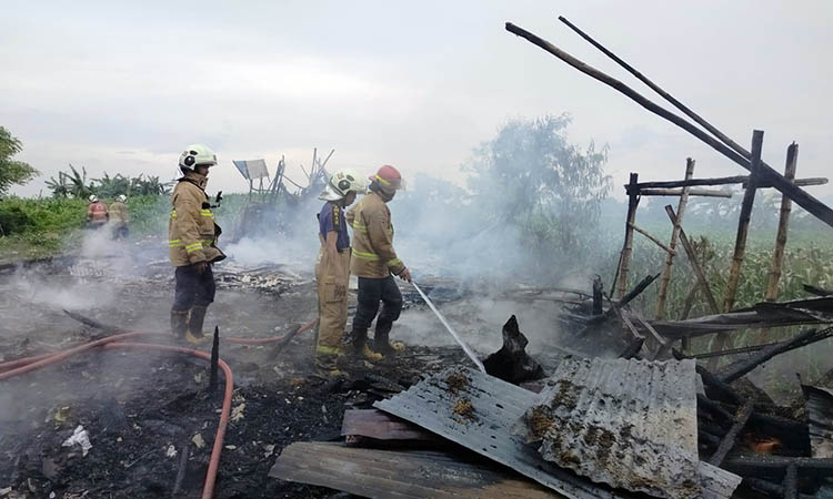 HANGUS: Kandang ayam salah satu warga di wilayah Kabupaten Pasuruan yang ludes terbakar beberapa waktu lalu. Sepanjang 2024 kemarin, ada 270 kasus kebakaran terjadi.