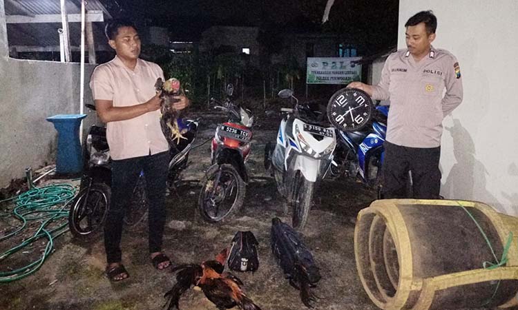 Petugas Polsek Purwodadi membeber barang bukti yang diamankan usai menggerebek sabung ayam di Jatisari, Purwodadi, Kabupaten Pasuruan.