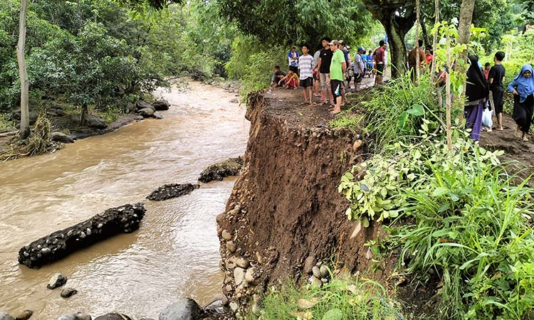AMBROL: Jalan Desa Kaliacar di Dusun Sumberwatu, Kecamatan Gading, ambrol setelah TPT setinggi 6 meter dihantam banjir. Menyisakan jalan alternatif yang berupa jalan setapak. (Arianto/ Radar Bromo)