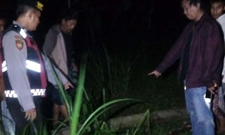 OLAH TKP: Petugas menunjukkan pohon sengon yang menimpa korban hingga tewas.