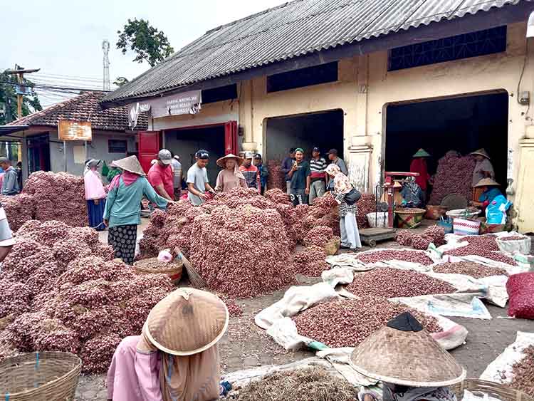 MAKIN MURAH: Sejumlah pedagang beraktivitas di Pasar Bawang Dringu, Kabupaten Probolinggo, Senin (10/2).