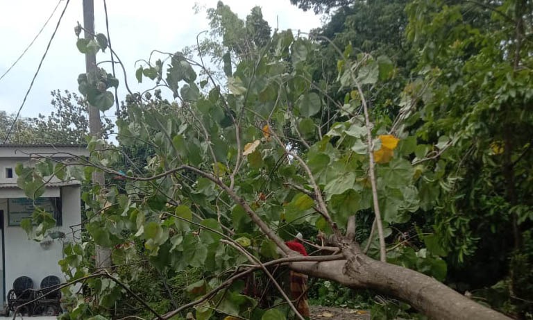 PUTUS: Jaringan listrik yang kendor di Desa Kertosono, setelah kena pohon tumbang akibat angin kencang, Rabu (12/2) pagi.