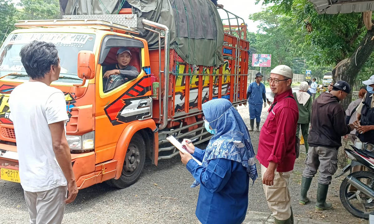 MENCEGAH PENYEBARAN: Pertugas menggelar operasi lalu lintas ternak di Kecamatan Paiton beberapa waktu lalu.