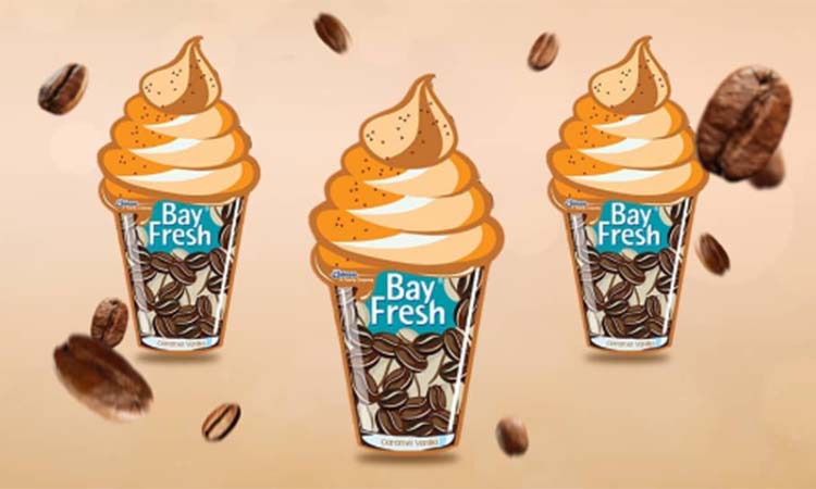 SC Johnson Bayfresh Hang N Go