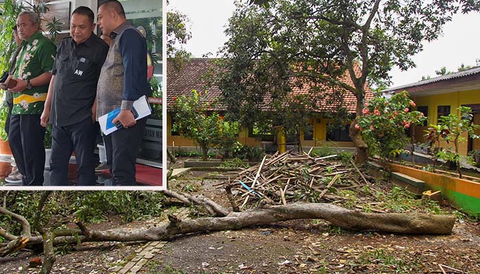 Kondisi SDN Jeladri 1 yang tertutup batang pohon yang ditebang, Kamis (27/2). Inset kuasa hukum Pemkab Pasuruan Suryono Pane berdiskusi dengan anggota dewan, Andri Wahyudi.