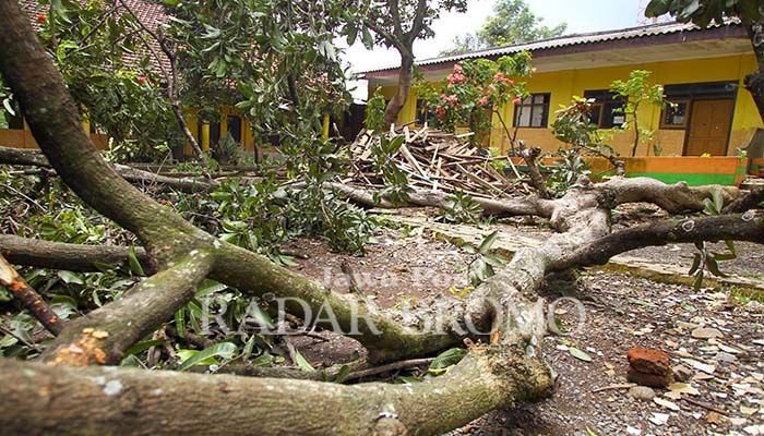 KEMBALI DITUTUP: Kondisi SDN Jeladri 1 Winongan Pasuruan yang terbengkalai lantaran sengketa lahan. (Mokhamad Zubaidillah/ Radar Bromo)