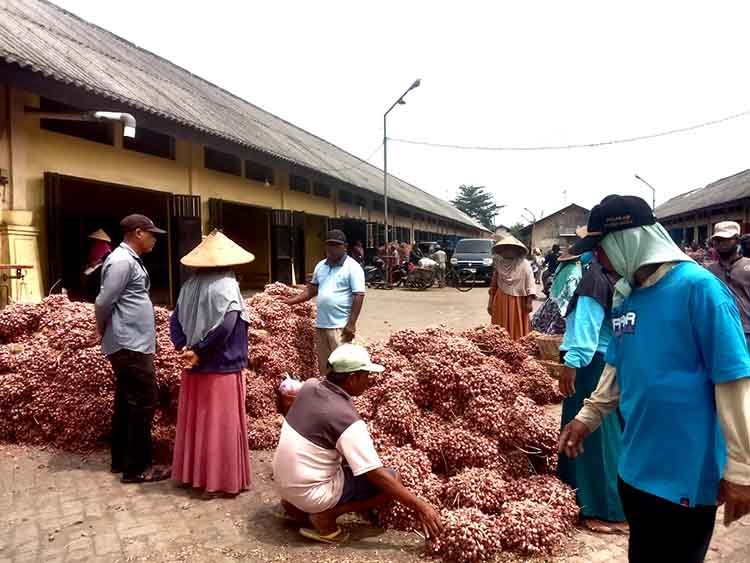 MAKIN TINGGI: Sejumlah pedagang dan pembeli sedang melakukan transaksi di Pasar Bawang Dringu.