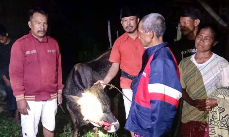 MEMBUAHKAN HASIL: Upaya pencarian sapi warga Ngepung yang raib dicuri membuahkan hasil. Sapi ditemukan di Sumberejo, Tongas.