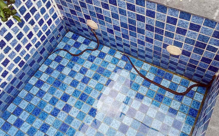 Dua ular yang ditemukan di kolam renang warga Perumahan Gendis Asri Pasuruan.
