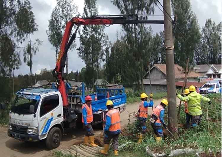 DIPERBAIKI: Sejumlah Petugas PLN ULP Probolinggo memperbaiki tiang listrik yang roboh di Desa Sumberanom, Kecamatan Sumber, Sabtu (22/3).