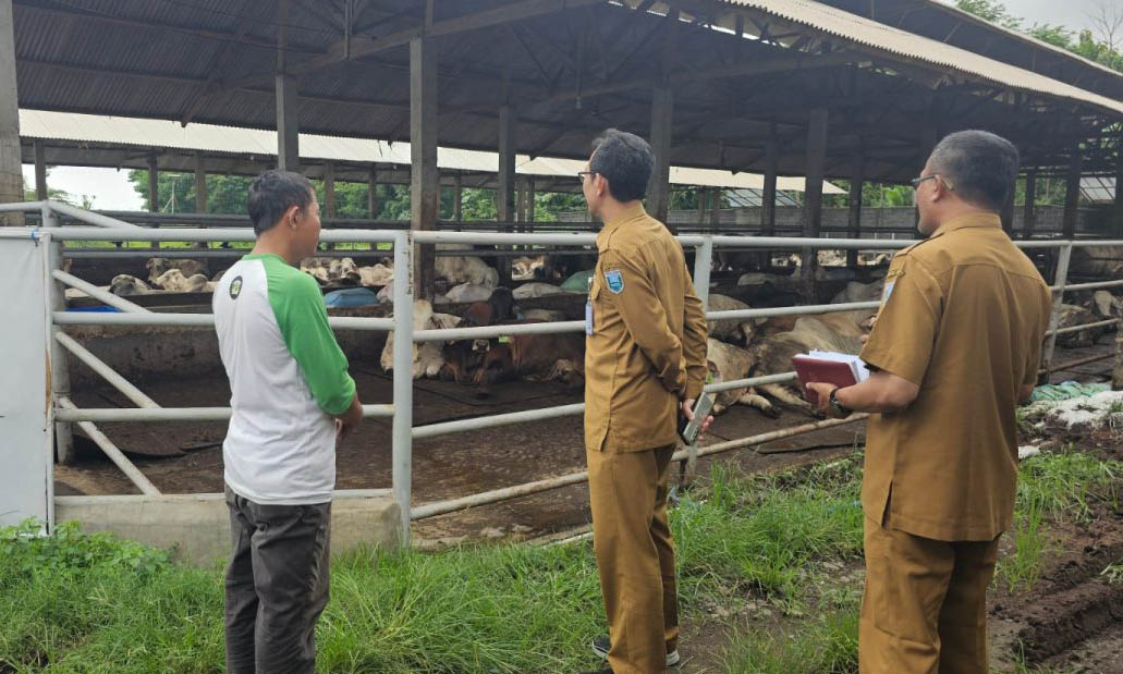 CEK LOKASI: Petugas Dinas Pertanian mendatangi unit usaha perternakan di Kecamatan Besuk.