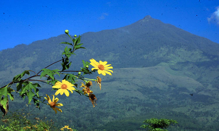 MENAWAN: Keberadaan Gunung Arjuno yang tampak tinggi menjulang. Gunung tersebut menjadi favorit para pendaki.