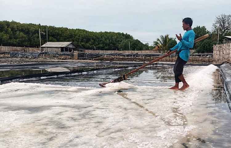 PANEN: Seorang petani garam di Kabupaten Probolinggo, memanen garamnya beberapa waktu lalu.