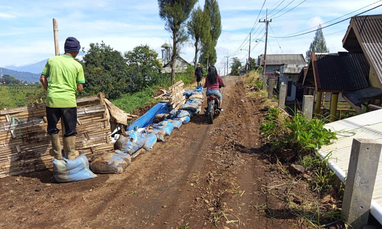 DITANGANI DARURAT: Jalan penghubung Tutur - Puspo yang mengalami longsor di Dusun rjosari, Desa Andonosari, Kecamatan Tutur