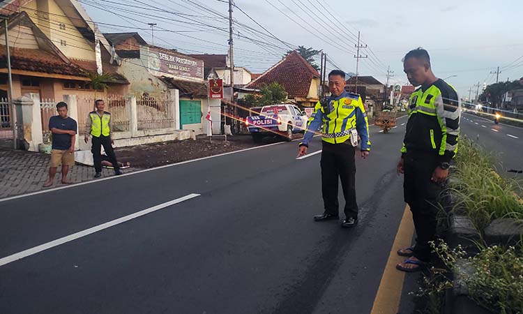 Petugas Satlantas saat melakukan olah TKP tabrak lari di jalan Malang-Surabaya, Desa/ Kecamatan Sukorejo, Kabupaten Pasuruan. (Istimewa)