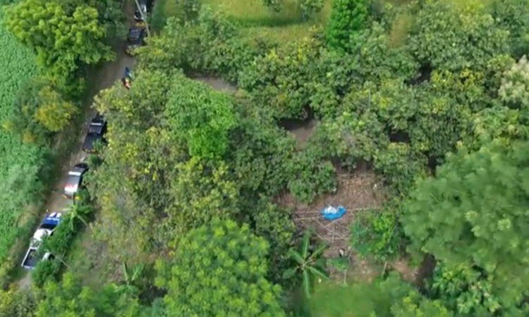 PEMANTAUAN: Kegiatan pemantauan kegiatan sabung ayam di wilayah Nguling yang dilakukan polisi menggunakan drone udara, beberapa waktu lalu.