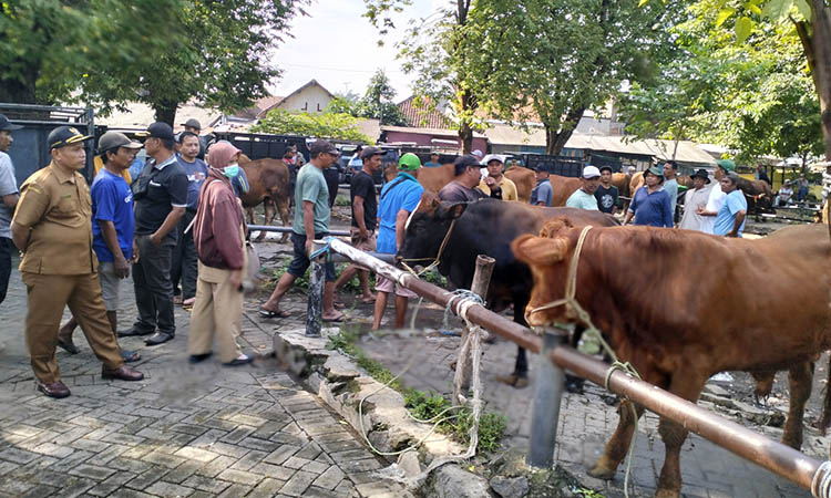 MENGGELIAT: Aktivitas Pasar Pandaan yang semakin menggeliat. Turunnya kasus PMK berdampak terhadap aktivitas perdagangan sapi di pasar.