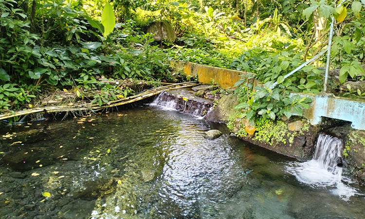 KERAMAT: Sumber Kaligopet di Dusun Lumbang Krajan, Desa Lumbangrejo, Kecamatan Prigen, dipercaya menjadi tempat keramat. Tak jarang, banyak peritual yang datang untuk mencari obat.