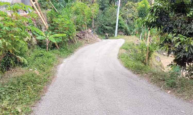 MULUS: Infrastruktur jalan desa menjadi fokus perhatian Pemerintah Desa Kedungsumur. Pembangunan berupa pengaspalan dan rabat beton jalan.