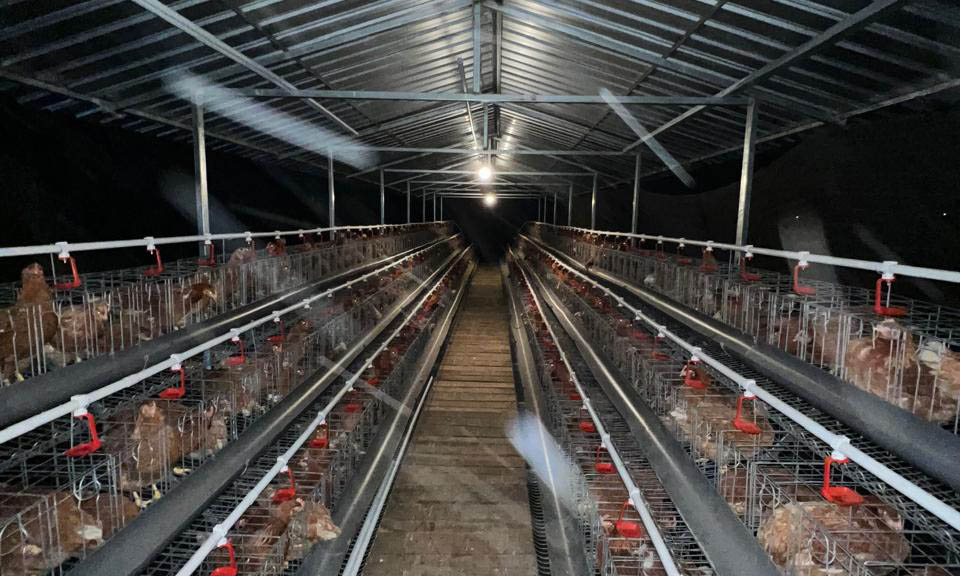 BANTU MASYARAKAT: Kandang ayam di Dusun Sumur Sawah yang dikelola dengan sistem bagi hasil.