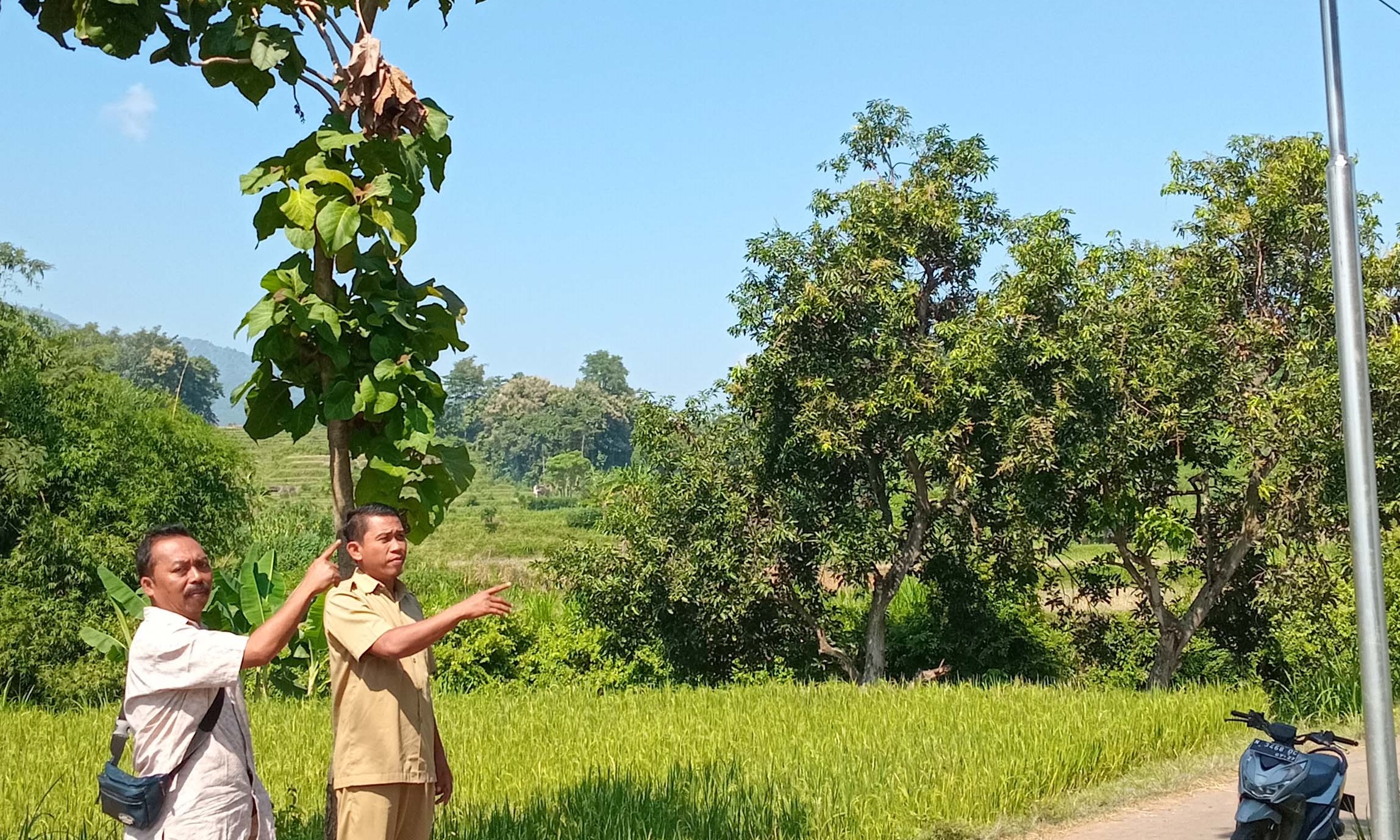 TERANG: Kepala Desa Sidomulyo H. Zainuddin Jamil (kanan baju putih) bersama Bendahara Desa Muzammil mengecek hasil pembangunan PJU di Dusun Poreng.
