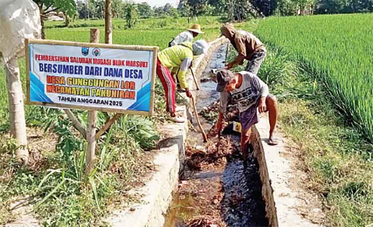 KETAHANAN PANGAN: Pembersihan irigasi juga dilakukan di seluruh dusun agar distribusi air ke sawah lancar dan mendukung ketahanan pangan.