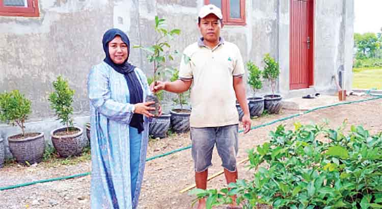PENGHIJAUAN: Kepala Desa Gunggungan Lor Sumiati memberikan bibit pohon rambutan kepada warga.