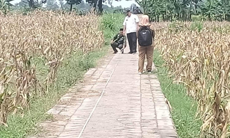 SEKTOR EKONOMI: Pembangunan jalan usaha tani (JUT) di Dusun Kramat untuk mendukung pertanian.