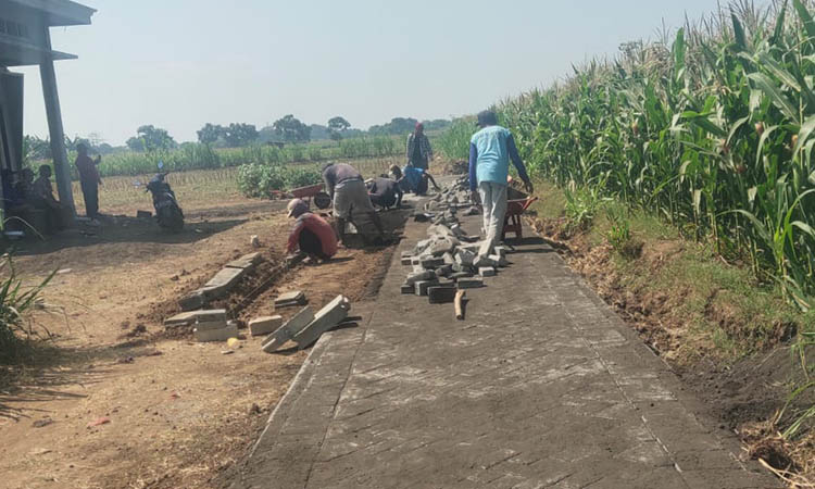 MULUS: Pavingisasi di Dusun Pejaten untuk mendukung akses ke lahan pertanian.