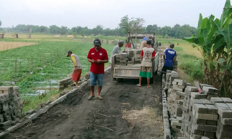 SURVEI: Pembangunan jalan paving di Dusun Kapur yang dilakukan tahun lalu agar memudahkan akses transportasi. Karena mayoritas warga desa adalah petani.
