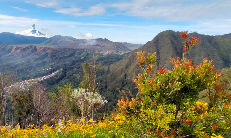 INDAH: Pemandangan di Bukit Kembang di Desa Sapih yang direncanakan akan menjadi salah satu destinasi wisata.