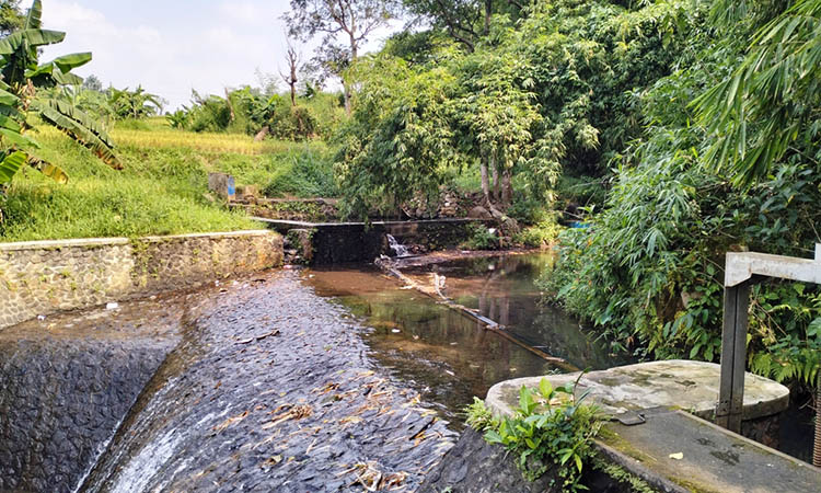 BANYAK MANFAAT: Selain untuk mencuci hingga mandi, air dari Sumber Kidul juga dimanfaatkan untuk irigasi persawahan. Tak heran, jika tanaman padi di wilayah setempat, tumbuh subur.