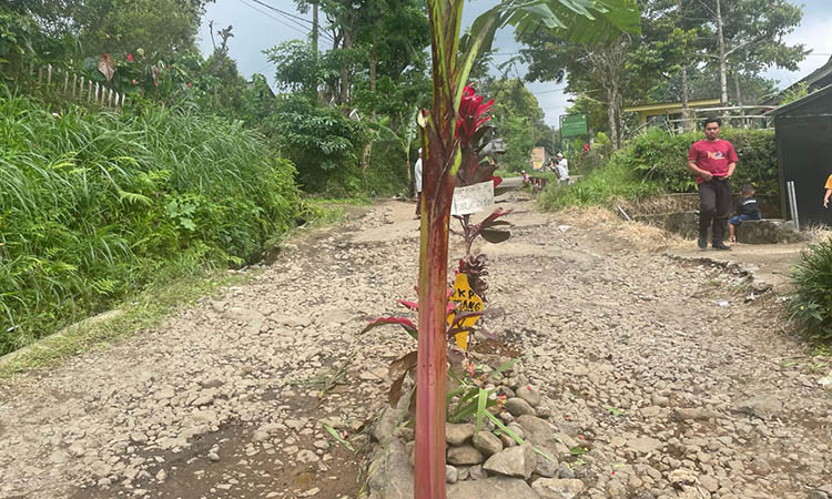 DIKELUHKAN: Kerusakan di jalan Krucil-Tambelang.
