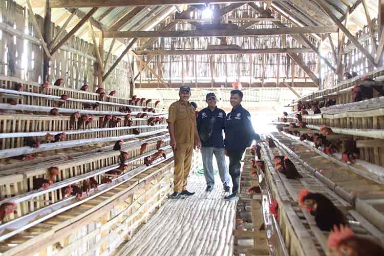 TERJAMIN: Kepala Desa Warujinggo Edi Suwarwi (kiri) berada di kandang ayam program Ketahanan Pangan Desa Warujinggo.