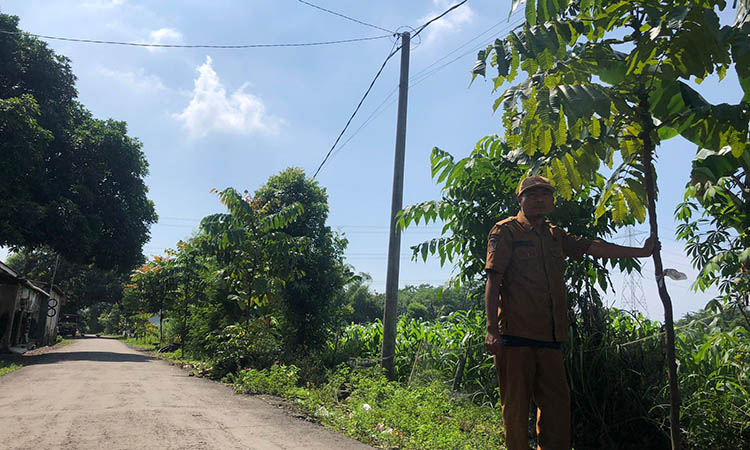 TEMATIK: Kasi Pelayanan Desa Pohsangit Lor, Nemoh di lokasi penanaman pohon Matoa di jalan desa, Senin (2/6).