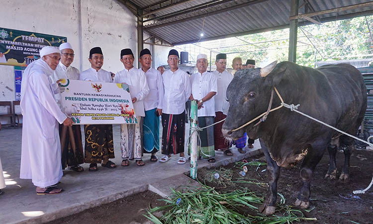 SERAHKAN: Wali Kota Pasuruan H. Adi Wibowo, S.TP. M.Si menyerahkan kurban sapi Presiden Republik Indonesia Prabowo Subianto kepada Takmir Masjid Agung Al Anwar, Kota Pasuruan.
