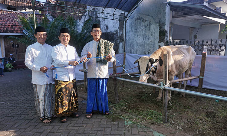 KURBAN: Wali Kota Pasuruan H. Adi Wibowo, S.TP. M.Si dan Wakil Wali Kota Pasuruan H.M.Nawawi, S.Kom, MM menyerahkan kurban sapi dari jasa Marga Tol Gempol &ndash; Pasuruan kepada Takmir Masjid At Thoyyibah.