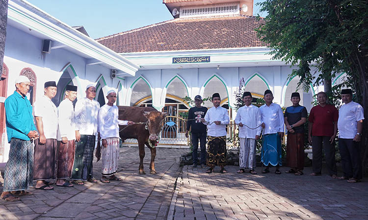 PENYERAHAN: Seekor sapi dari Bank Jatim Pasuruan yang diserahkan walikota ke Masjid Baitul Muttaqin, Bintingan &ndash; Kepel.