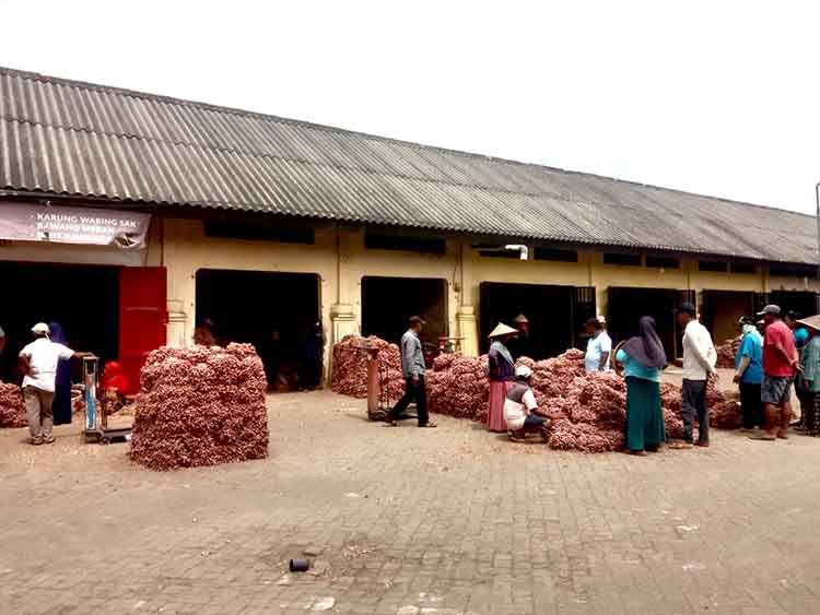 MAKIN MINIM: Sejumlah pedagang berada di Pasar Bawang Dringu, Kabupaten Probolinggo. Sejak awal bulan ini stok bawang merah di pasaran minim dan harganya melambung.