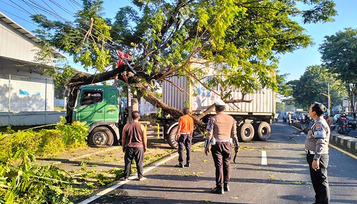 HILANG KENDALI: Kondisi truk kontainer usai menabrak median dan pohon di Sukorejo, Pasuruan. (Rizal Syatori/ Radar Bromo)