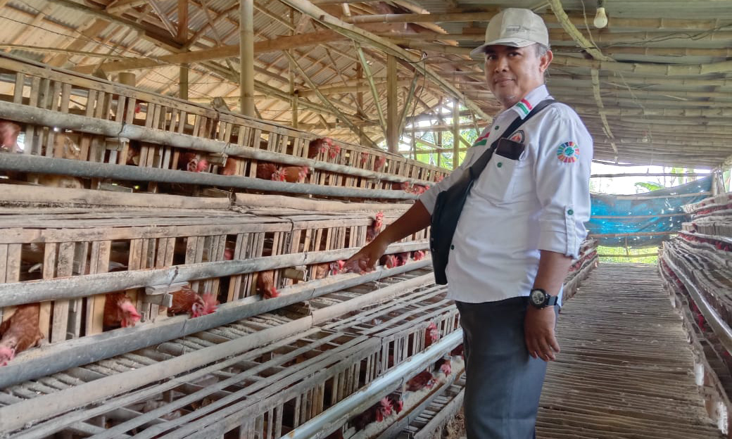 KETAHANAN PANGAN: Pendamping desa mengecek ketahanan pangan peternakan ayam petelur di Desa Tigasan Wetan.