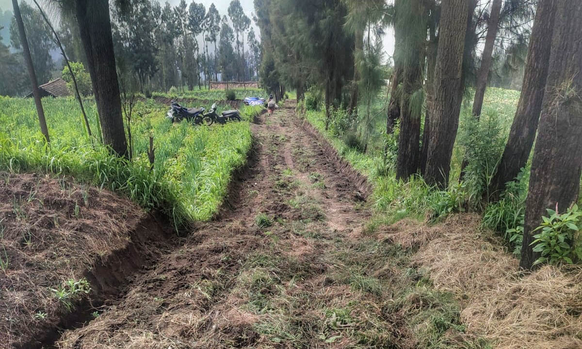 SEGERA DIBANGUN: Ruas jalan Dusun Cemara Lawang telah diukur dan akan segera dibangun.