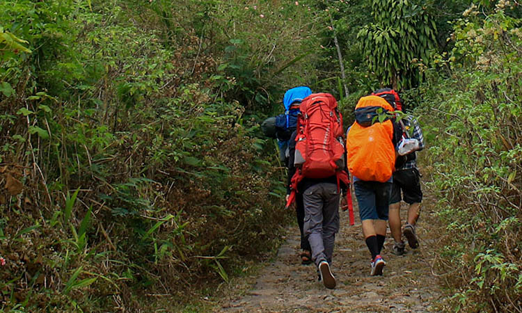 MENDAKI: Sejumlah pendaki saat melakukan perjalanan menuju Gunung Arjuno. Meski cuaca tak menentu, jalur pendakian masih diserbu.