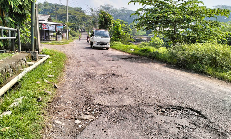 BERLUBANG: Jalan Bulukandang-Ketanireng, Kecamatan Prigen yang mengalami kerusakan. Kondisi itu, membuat pengguna jalan tak nyaman.