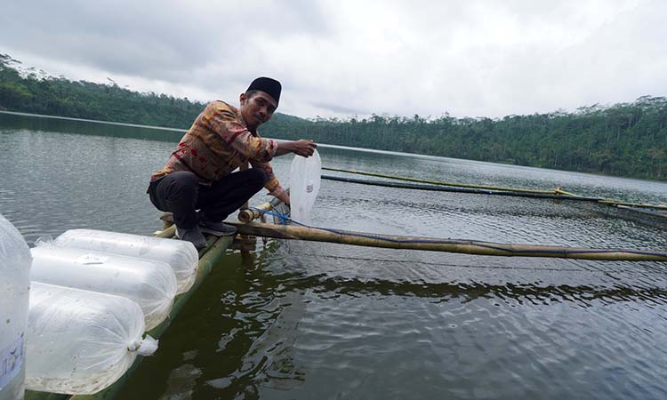 TEBAR BENIH: Kepala Desa Tlogoargo, Umar menebar menebar dua jenis bibit Ikan Tawes dan Ikan Sengkaring di Danau Segaran Duwas.