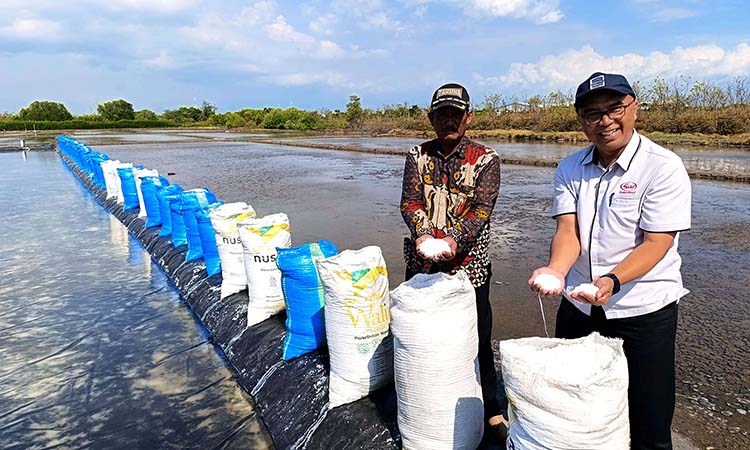 KEMITRAAN: PT Sasa Inti Gending menjalin kemitraan dengan petani garam Desa Pajurangan, Kecamatan Gending.