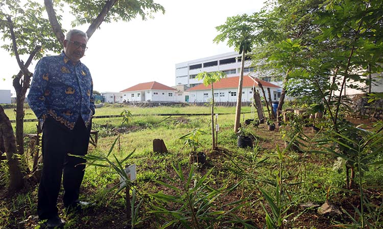 Direktur RSUD Ar Rpzy dr. Abraar HS Kuddah, M.Si.Med, Sp.B,  saat menujukkan tanaman obat obatan keluarga (toga) milik rumah sakit