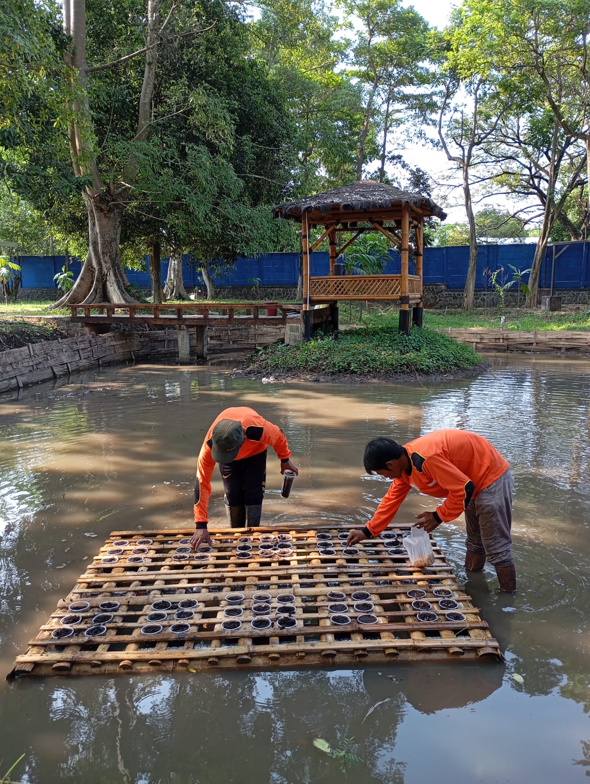 KOLAM LIMPASAN: Pemanfaatan kolam limpasan sebagai model keragaman hayati lahan basah, salah satu program Pelestarian Keragaman Hayati dari CSR AQUA Keboncandi. Kolam limpasan ini juga dijadikan ujico